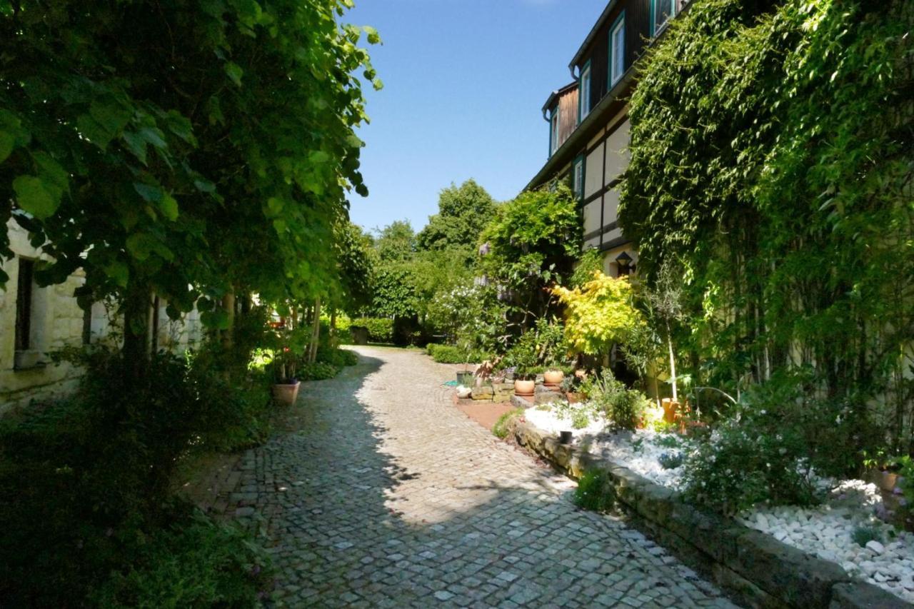 No.5 - Ferienwohnung Schkade Kleingießhübel エクステリア 写真