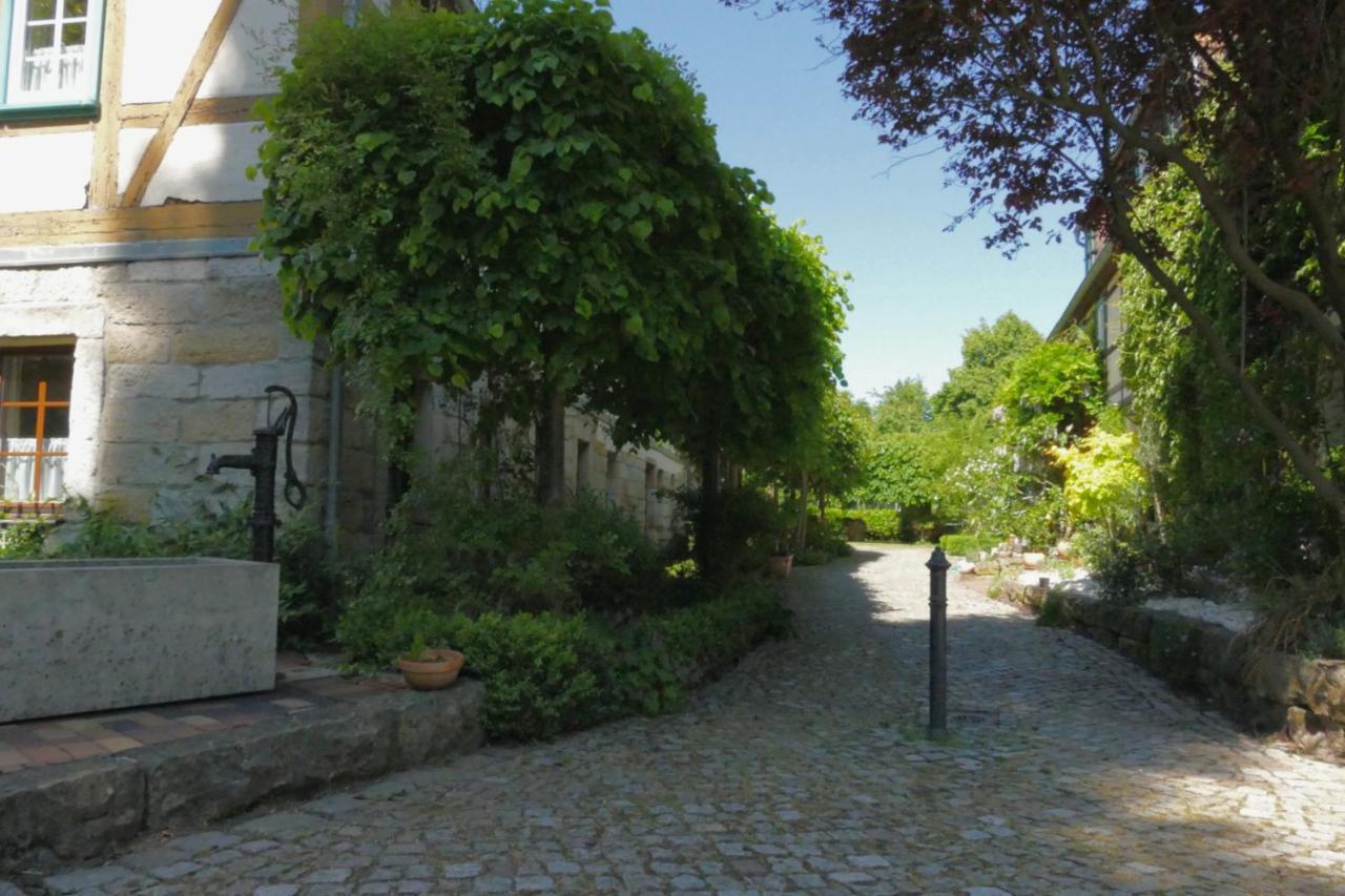 No.5 - Ferienwohnung Schkade Kleingießhübel エクステリア 写真