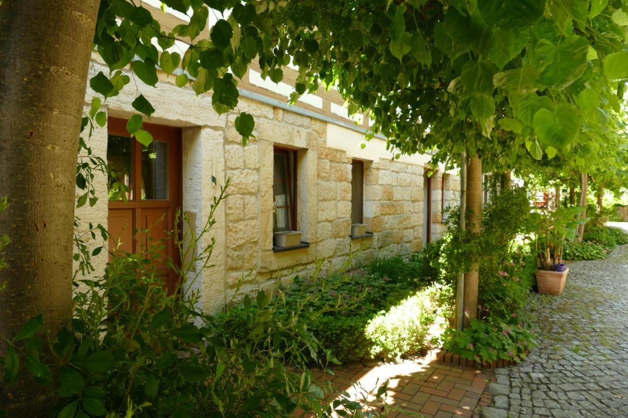 No.5 - Ferienwohnung Schkade Kleingießhübel エクステリア 写真